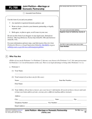 First page of the Joint Petition: Marriage or Domestic Partnership form