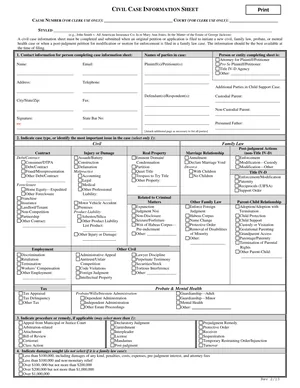 First page of the Civil Case Information Sheet form