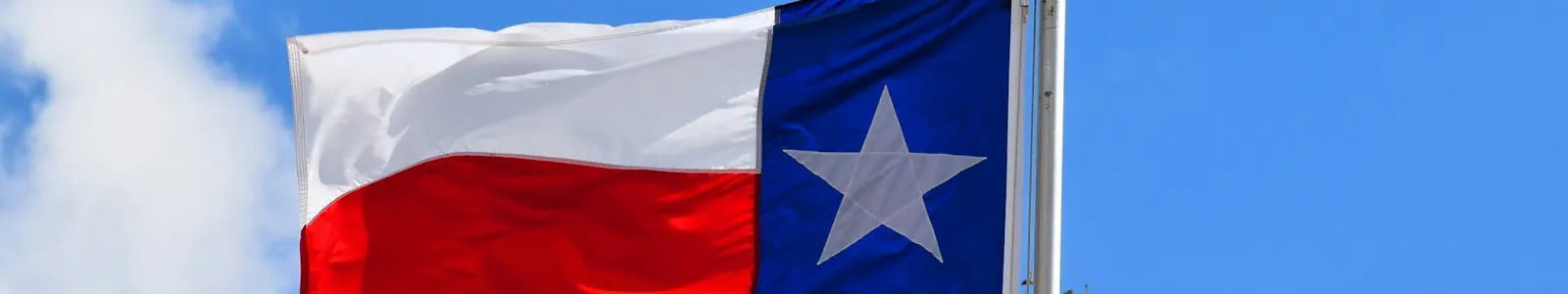 The Texas state flag